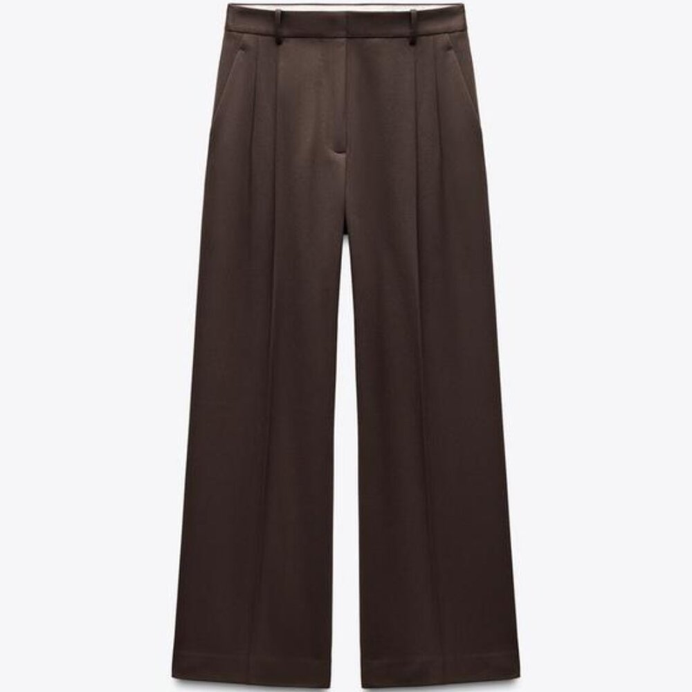 Zara ZW Collection Pleated Pants